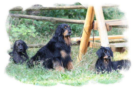 Trio
