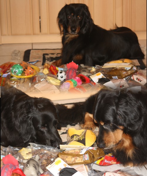 Weihnachten 2013